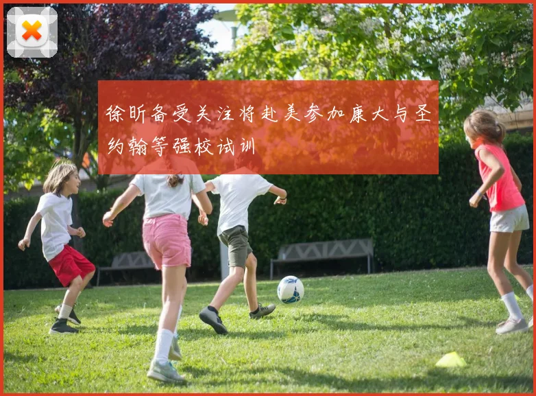 徐昕备受关注将赴美参加康大与圣约翰等强校试训