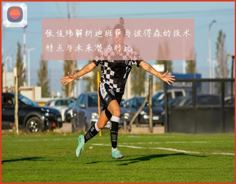 张佳玮解析迪班萨与彼得森的技术特点与未来潜力对比
